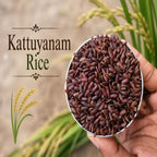 JSE Kaatuyanam Rice