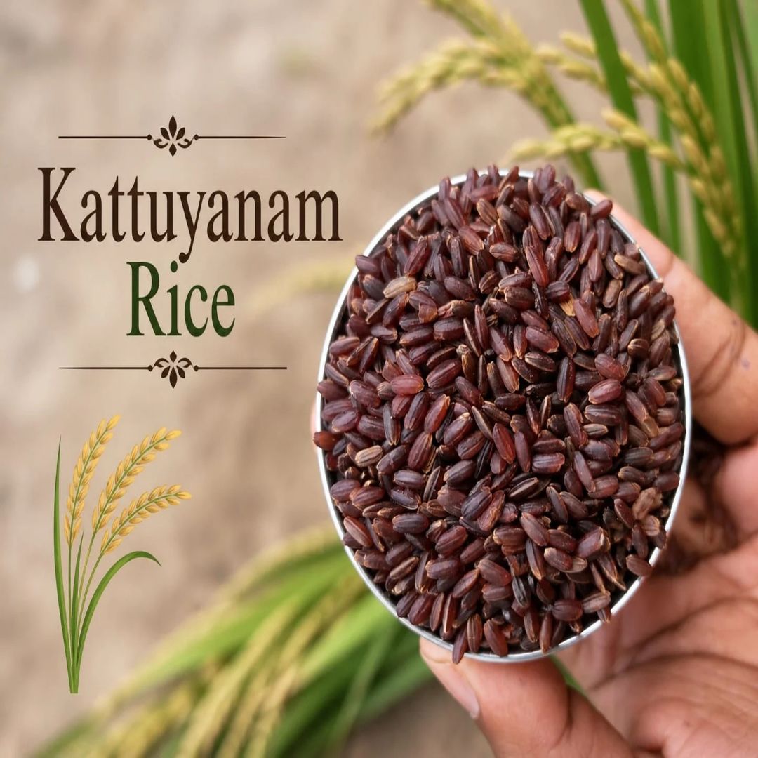 JSE Kaatuyanam Rice