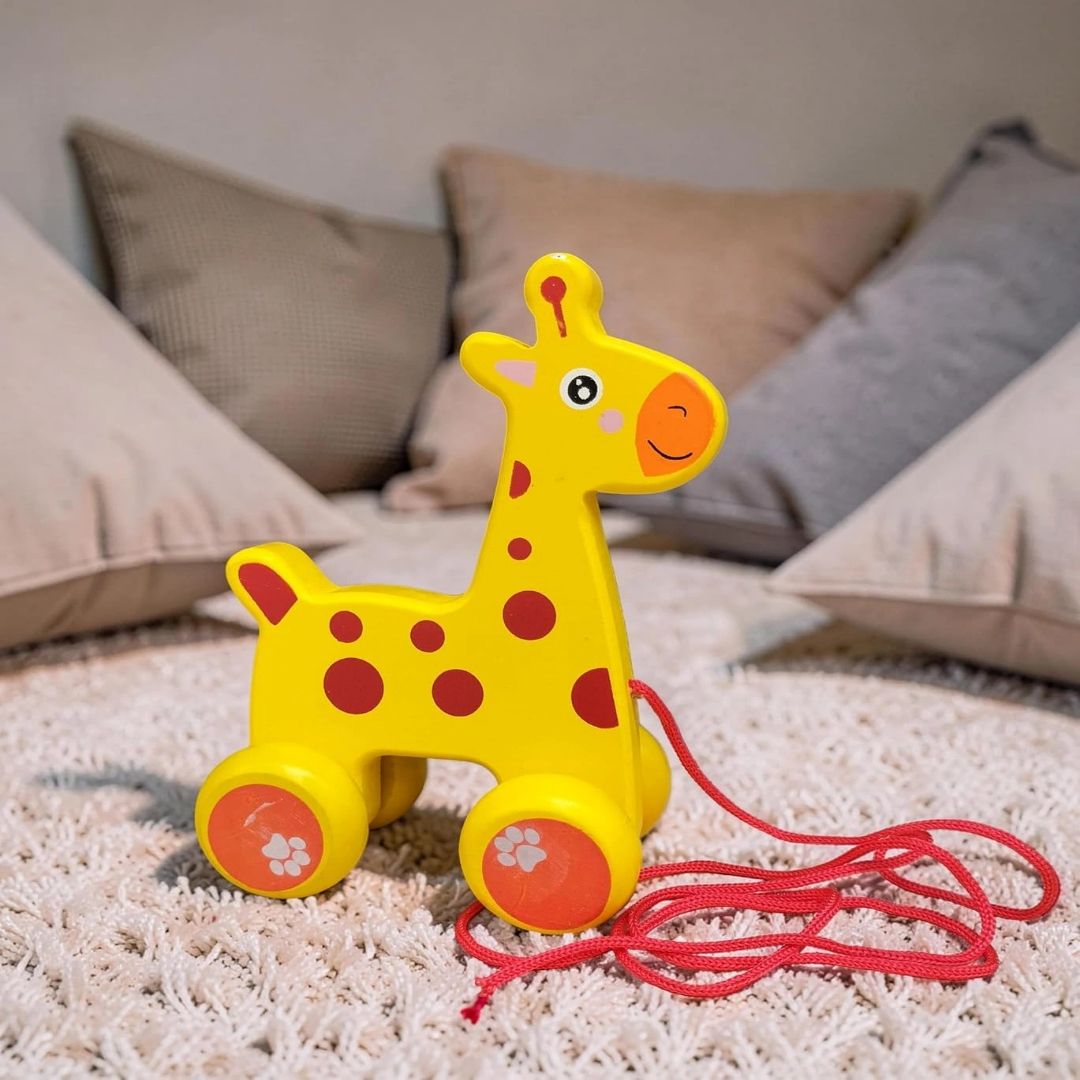 ELMWOODS Pull Along Toys